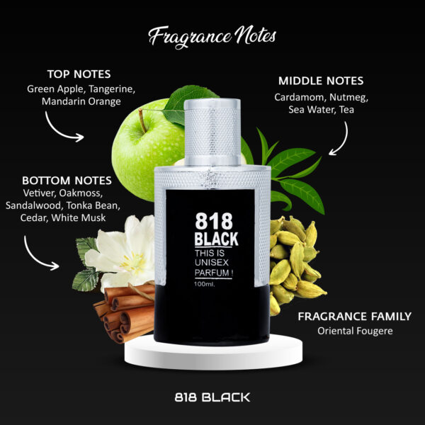 818 Black Luxury Perfume for Men 100ml - Image 4