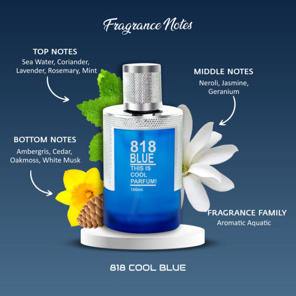818 Cool Blue Luxury Perfume for Men and Women 100ml - Image 4
