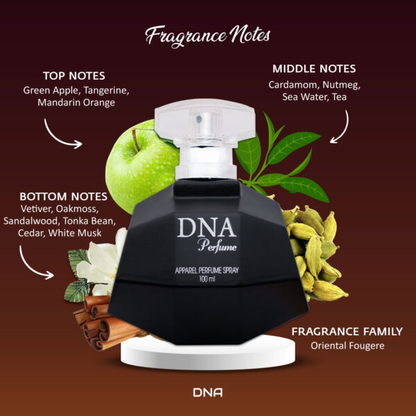 Fragrance Notes DNA Luxury Perfume for Men