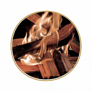 Cedar