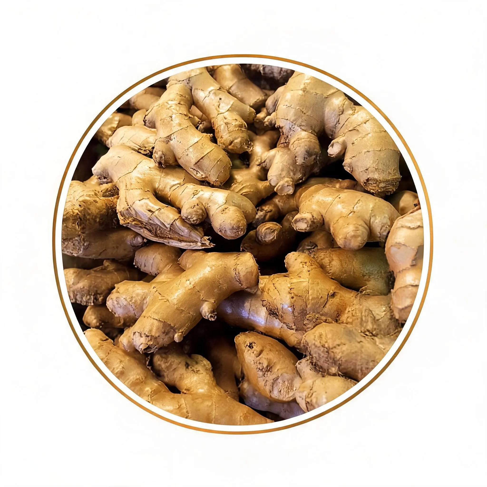 Ginger