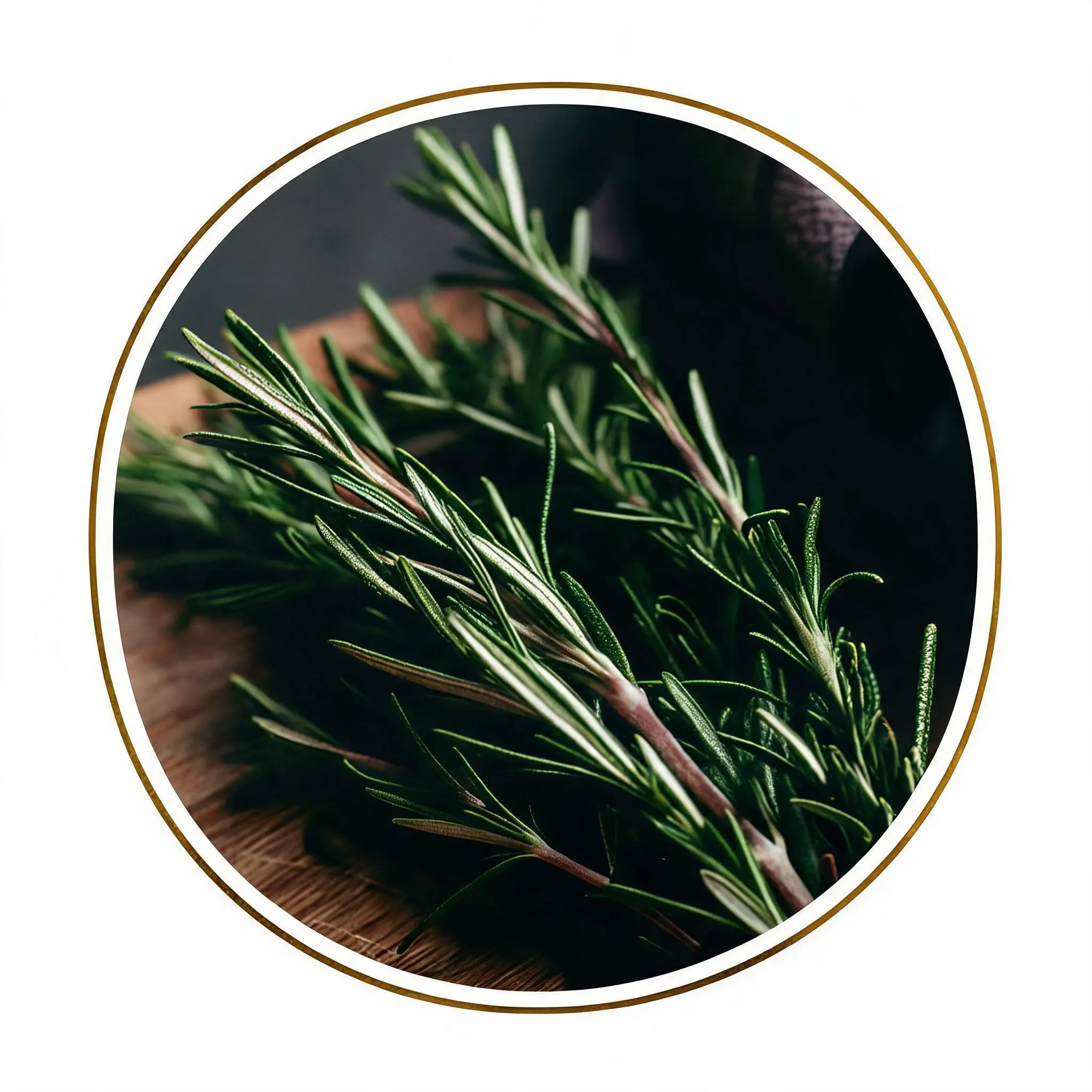 Rosemary